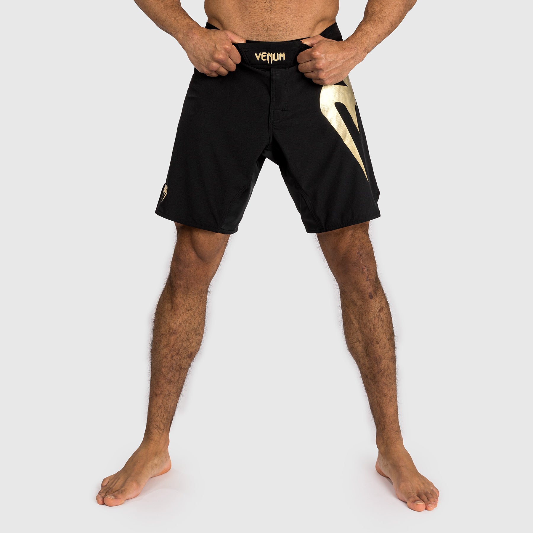 Shorts de combat Venum Light 5.0 - Noir/Or - product-type_Shorts de MMA