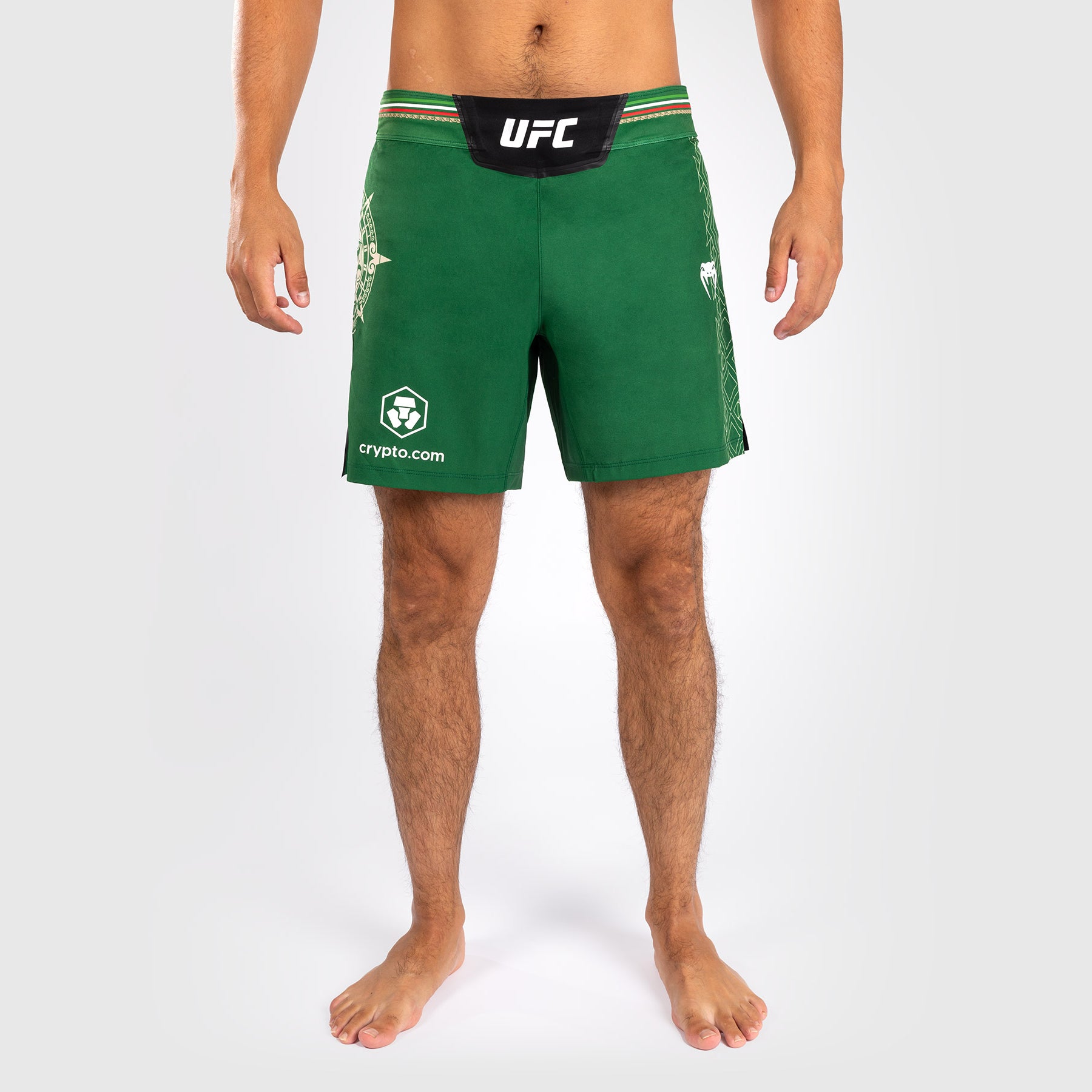 Noche UFC by Venum Authentic Fight Night Short de Combat pour homme - Coupe Courte - Vert - product-type_Shorts de MMA