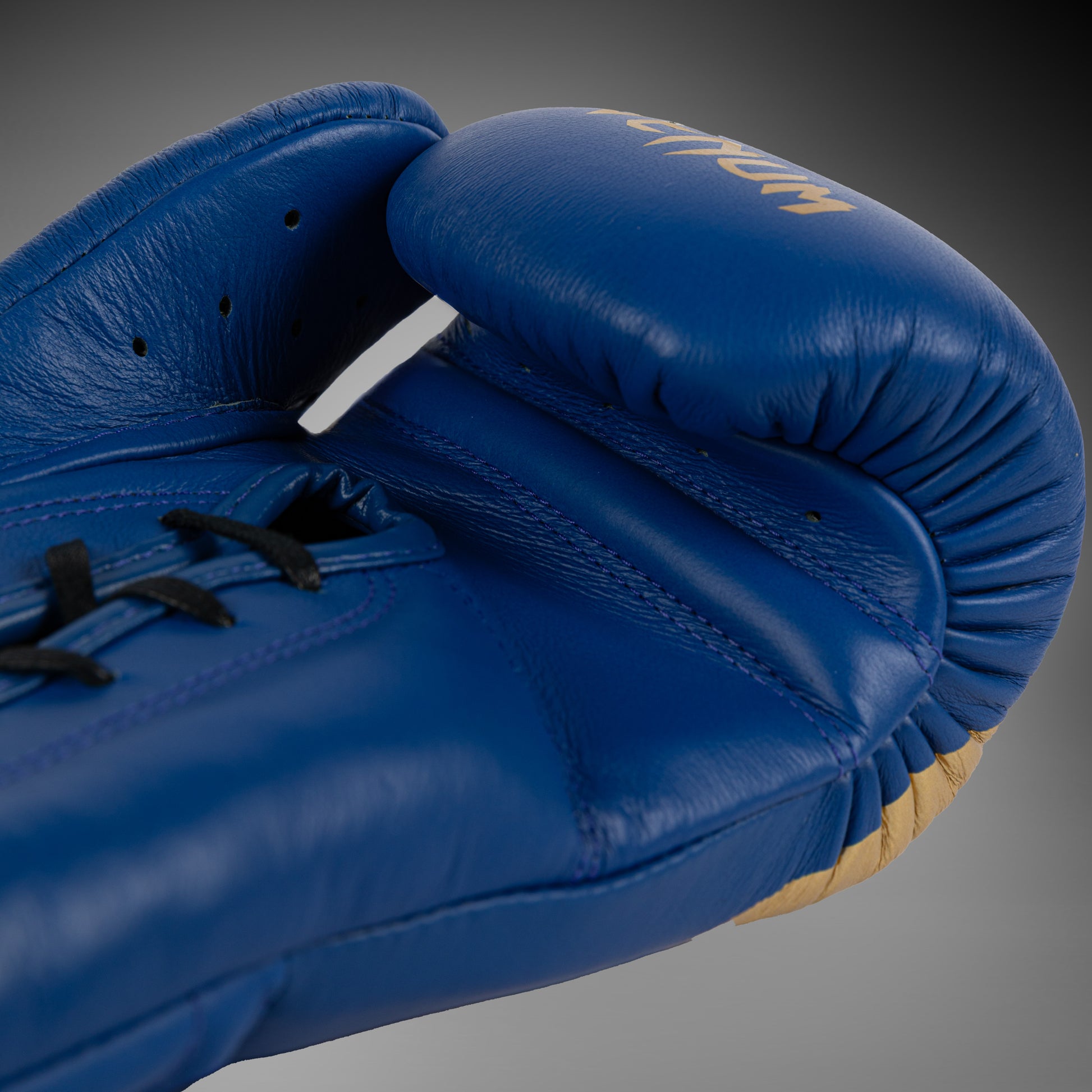 Gants de Boxe Venum x Chimaev - Bleu/Or - product-type_Gants de boxe