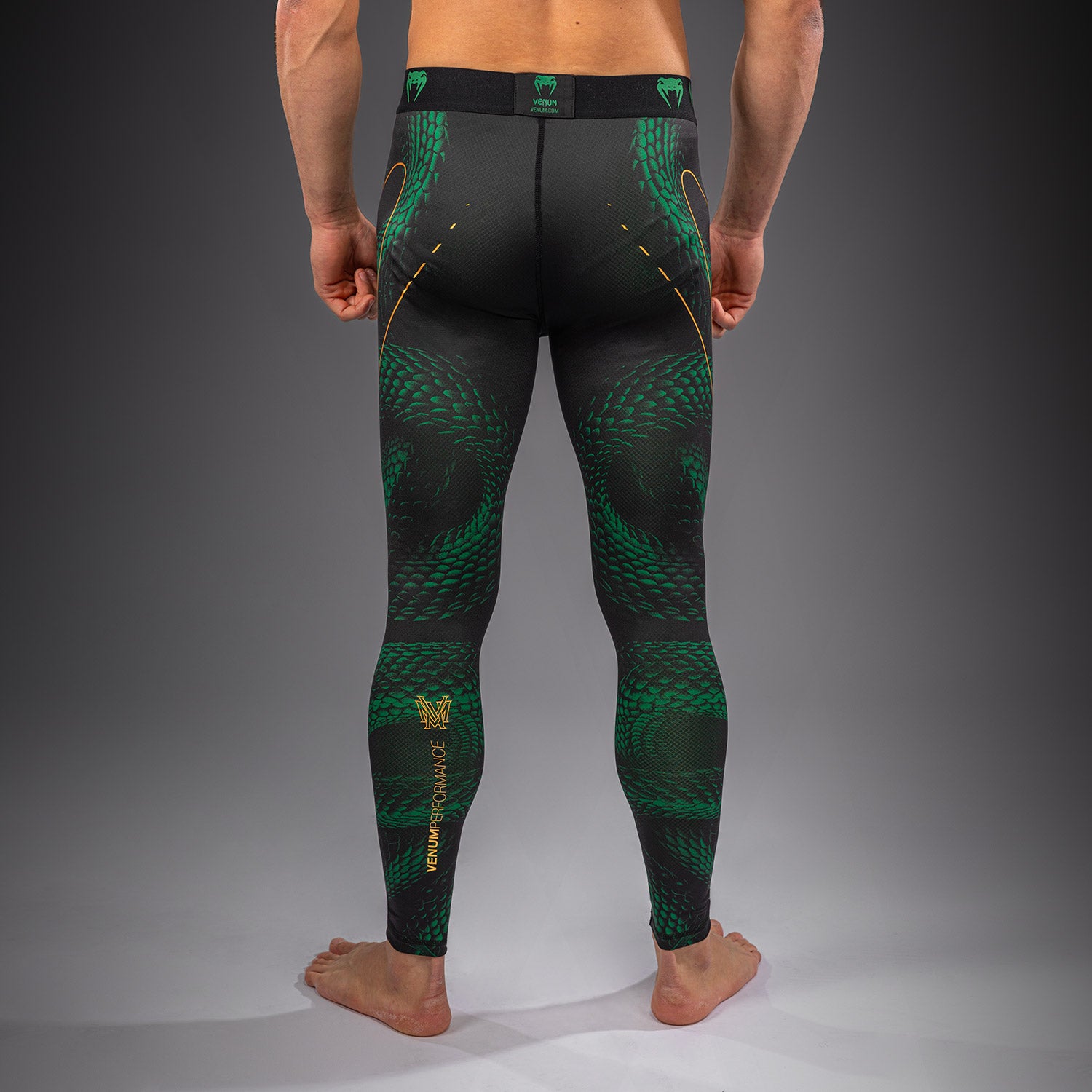 Pantalon de compression Venum Matupa - Noir/Vert/Or - product-type_Pantalons de Compression