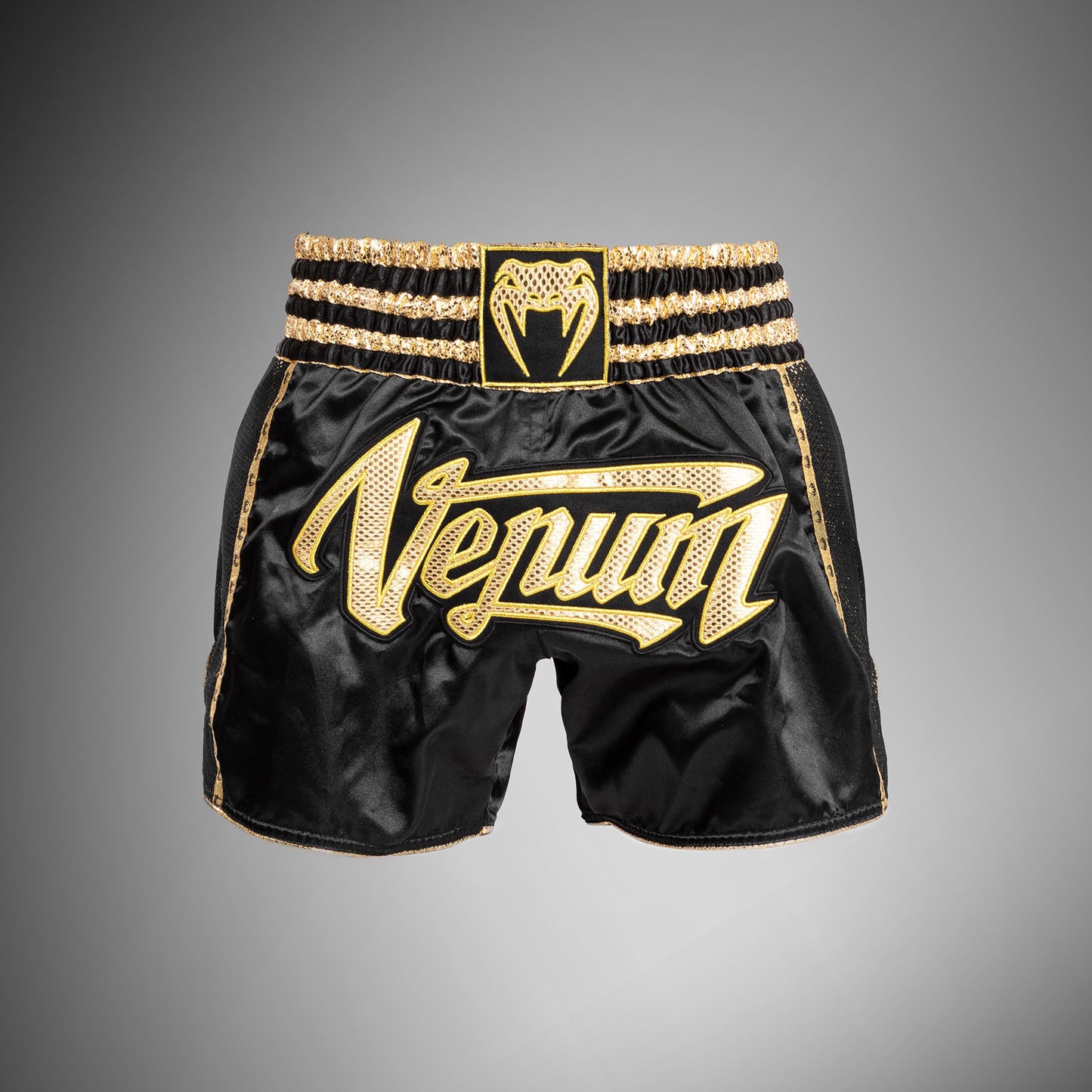 Short de Muay Thai Absolute 2.0 Venum - Noir/Or - product-type_Shorts de Muay Thai