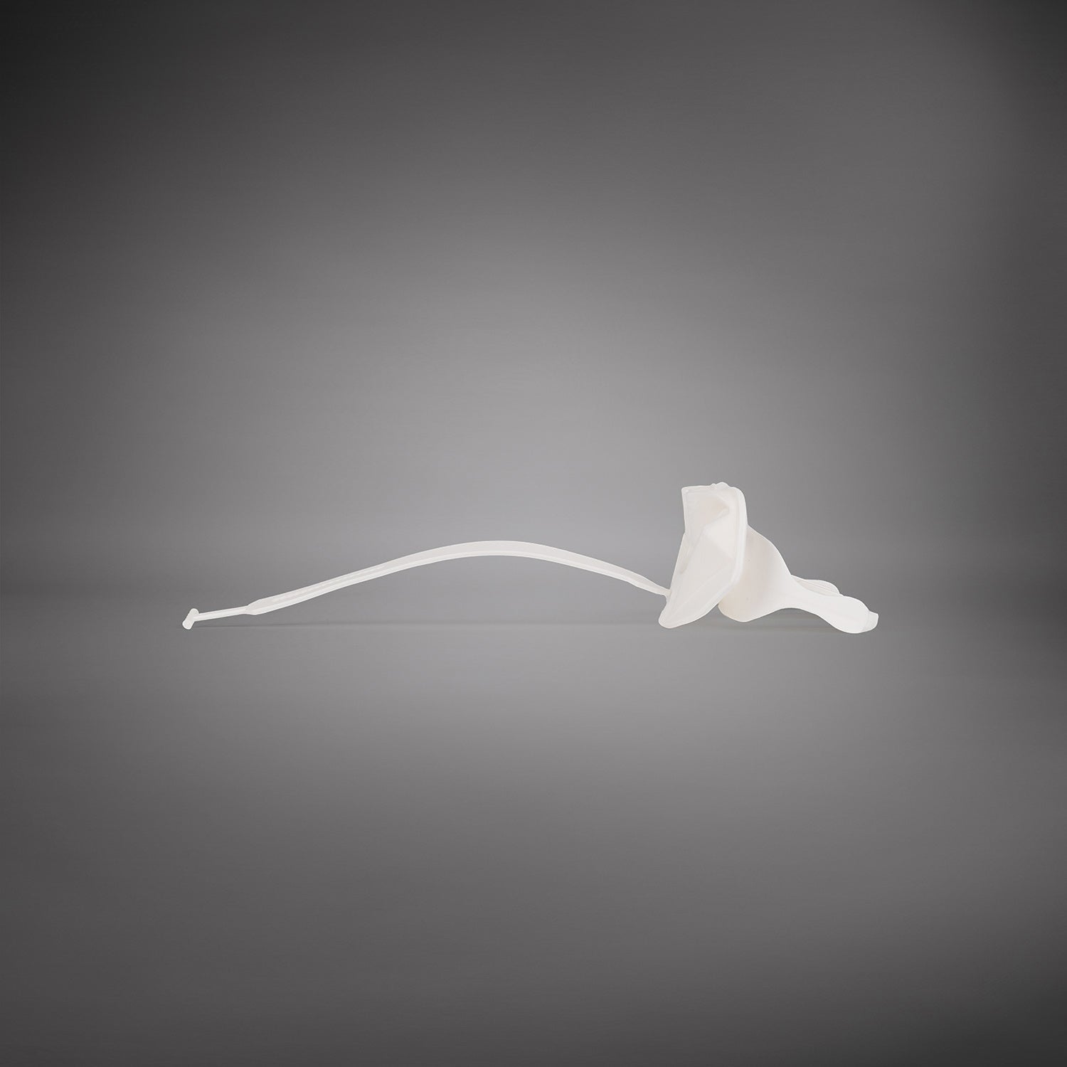 Protège-dents Venum Elite OG Edition - Blanc/Blanc - product-type_Protège-dents