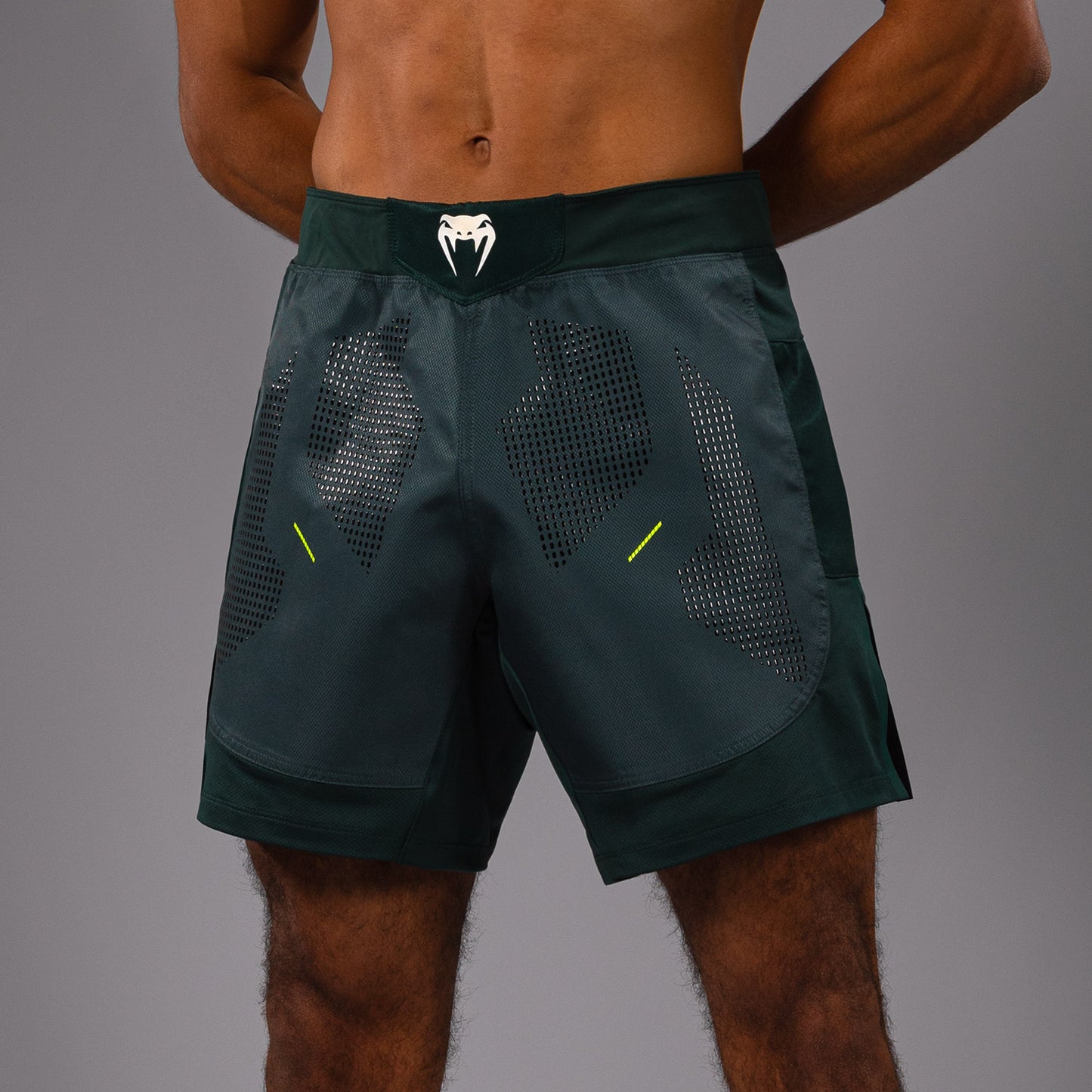 Short de Combat Venum Technical 3.0 - Vert Forêt - product-type_Shorts de MMA