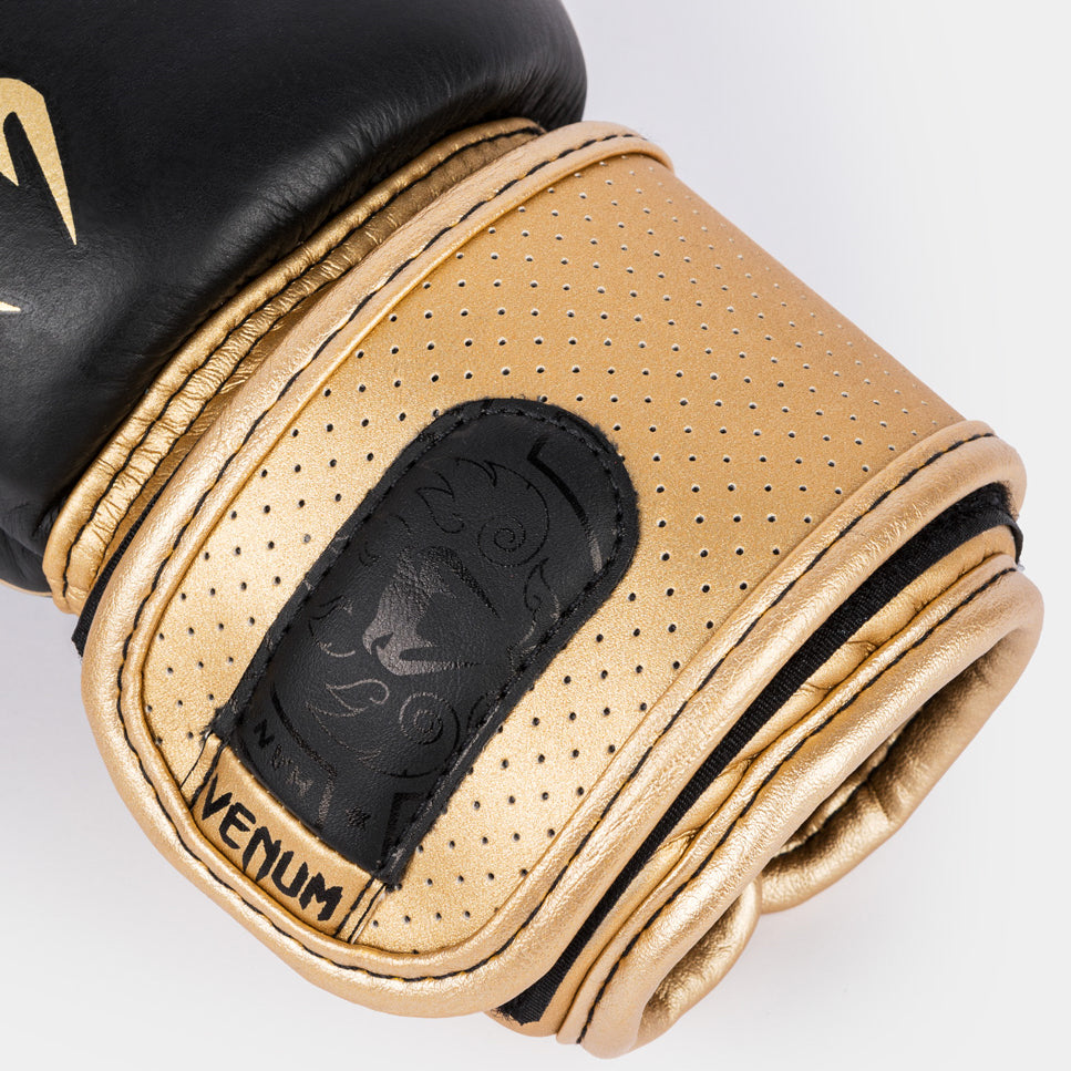 Gants de Boxe Venum Power 2.0 - Noir/Or - product-type_Gants de boxe