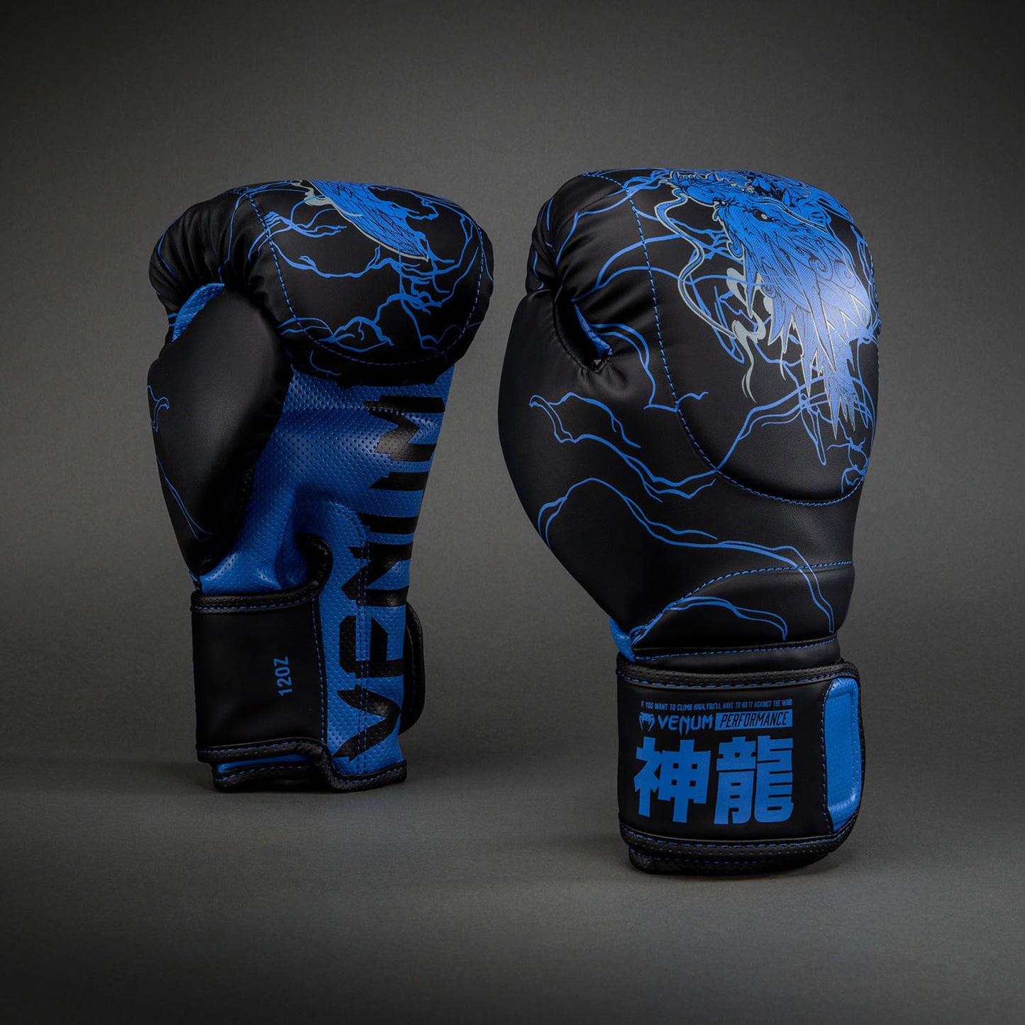 Gants de boxe Venum Thunder Dragon – Noir/Bleu Royal - product-type_Gants de boxe