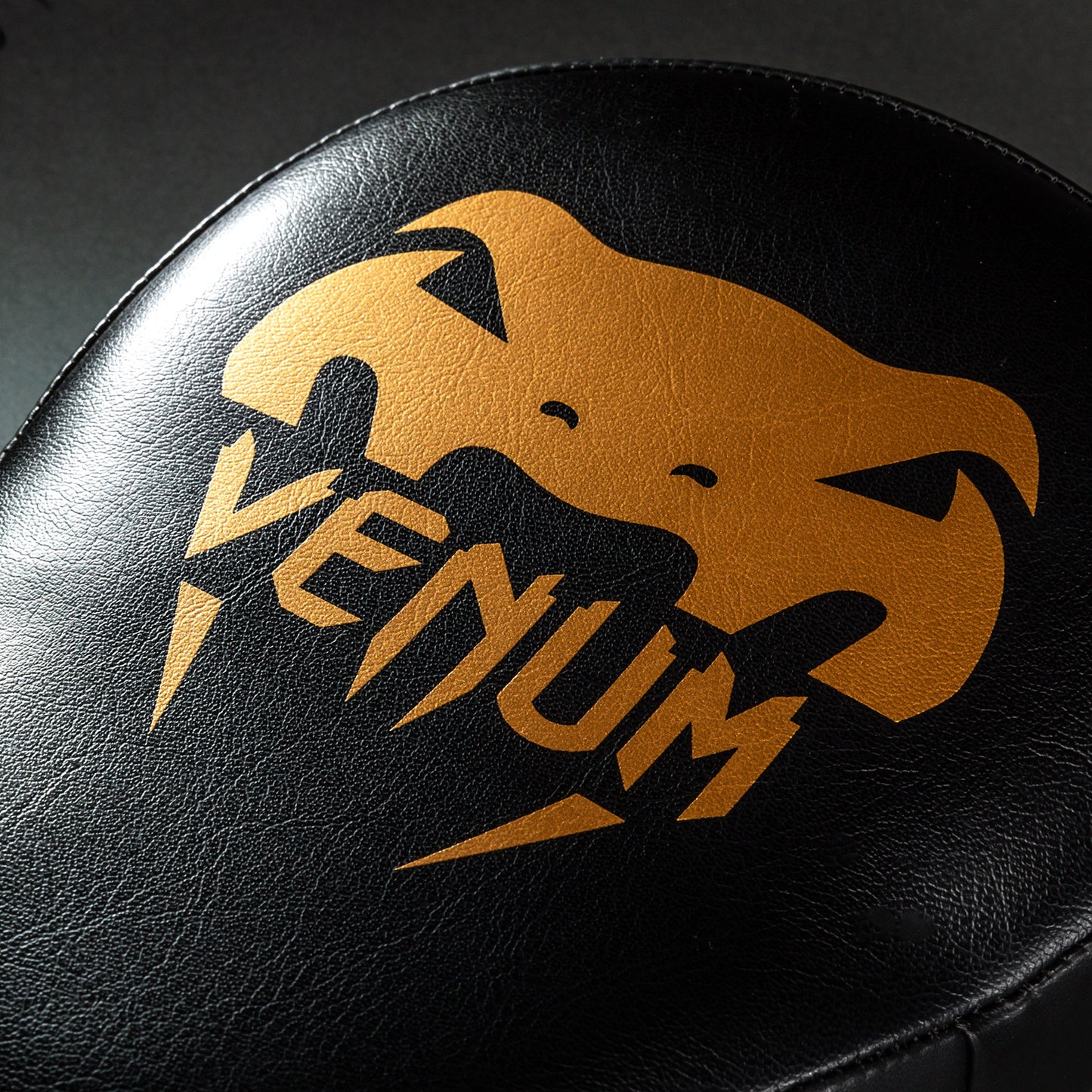 Pattes d’Ours Venum Light (Paire) - Noir/Or