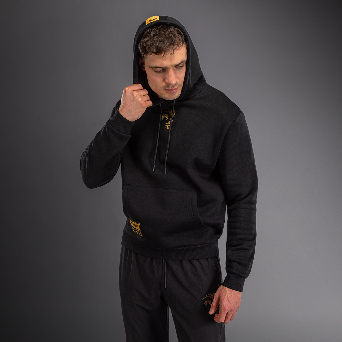 Sweat à capuche Venum x Mike Tyson Tiger - Noir/Or - product-type_Sweatshirts
