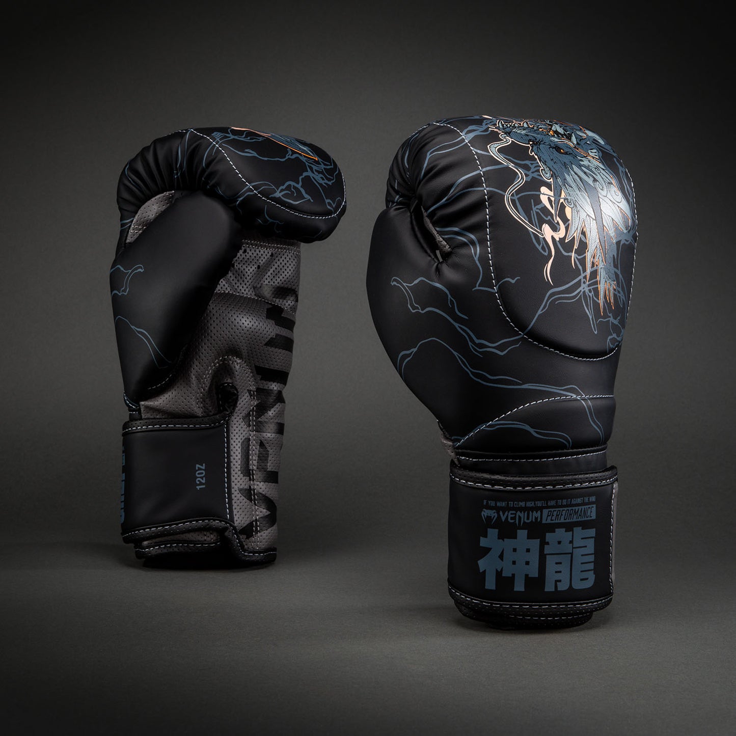 Gants de boxe Venum Thunder Dragon – Noir/Gris/Cuivre - product-type_Gants de boxe