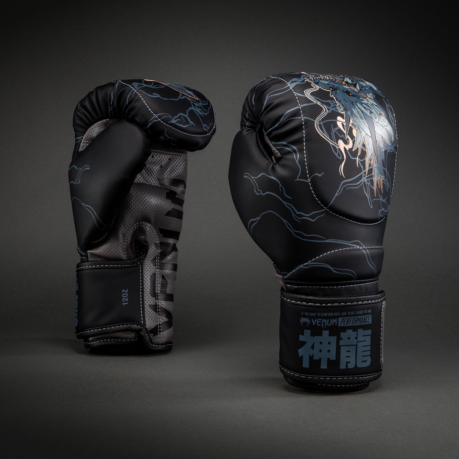 Gants de boxe Venum Thunder Dragon – Noir/Gris/Cuivre - product-type_Gants de boxe