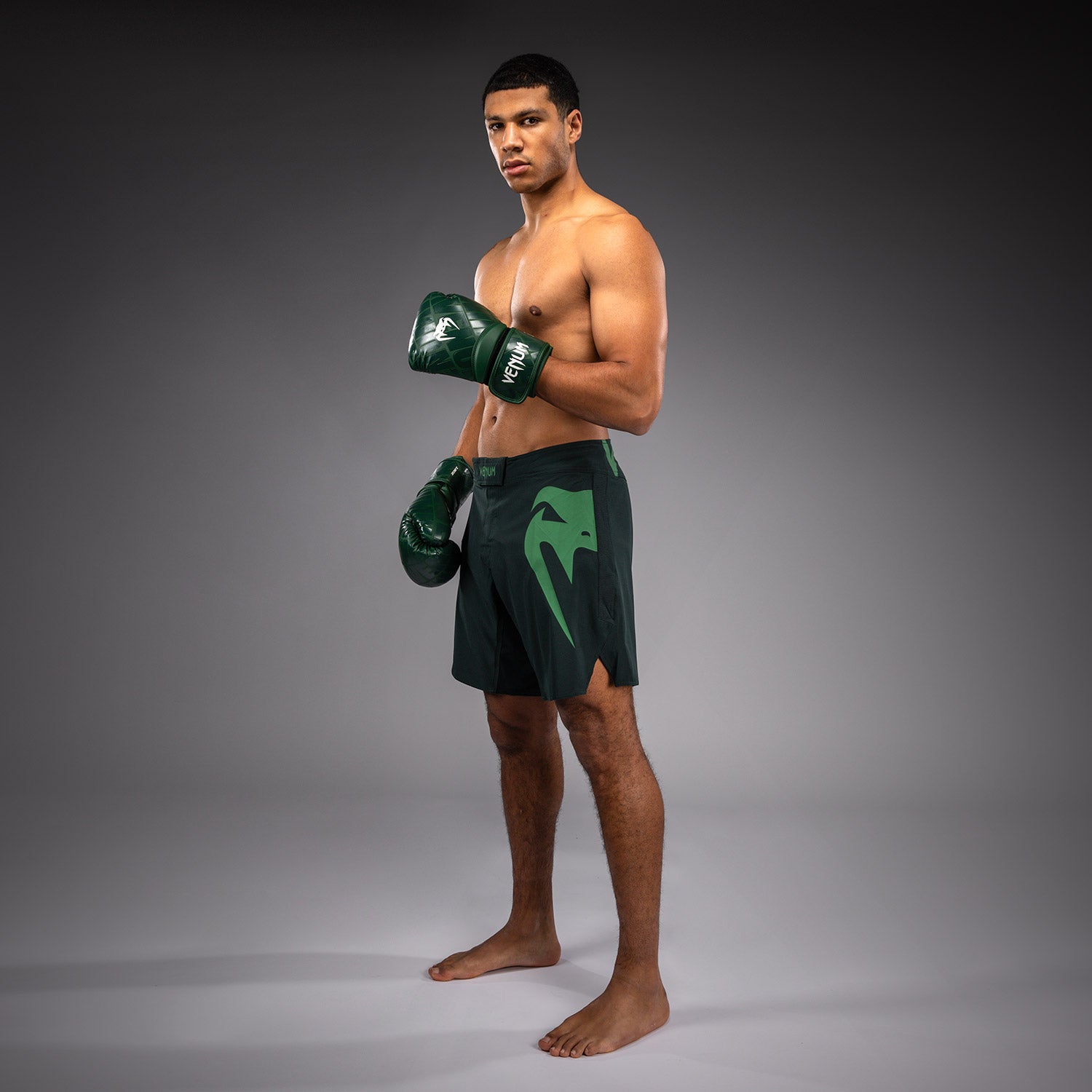 Short de combat Venum Light 5.0 - Vert forêt/Vert clair - product-type_Shorts de MMA