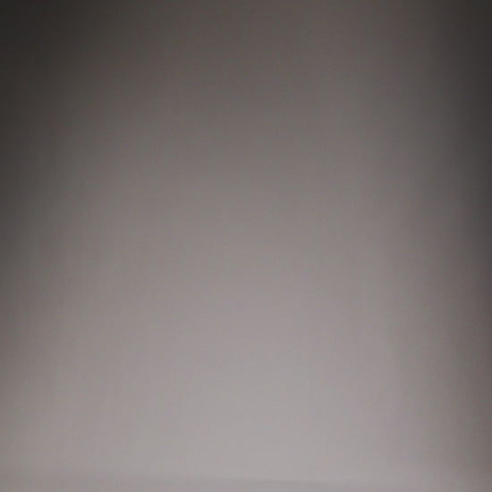 Short de Combat Venum No Gi - Noir/Blanc - product-type_Shorts de MMA