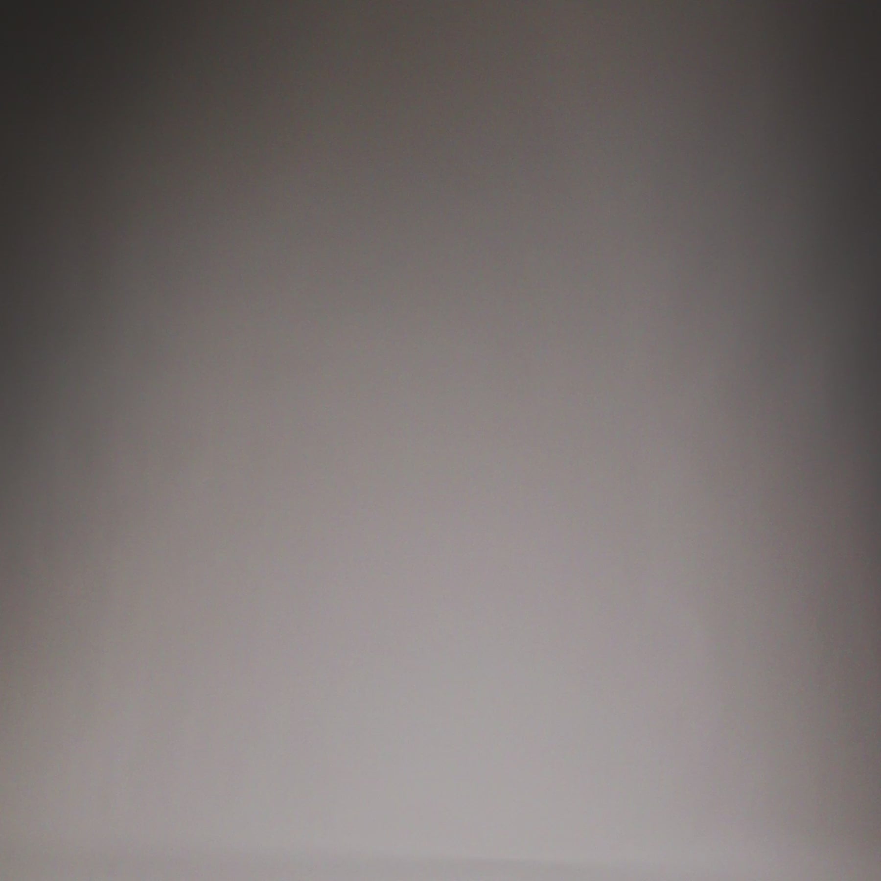 Short de Combat Venum No Gi - Noir/Blanc - product-type_Shorts de MMA