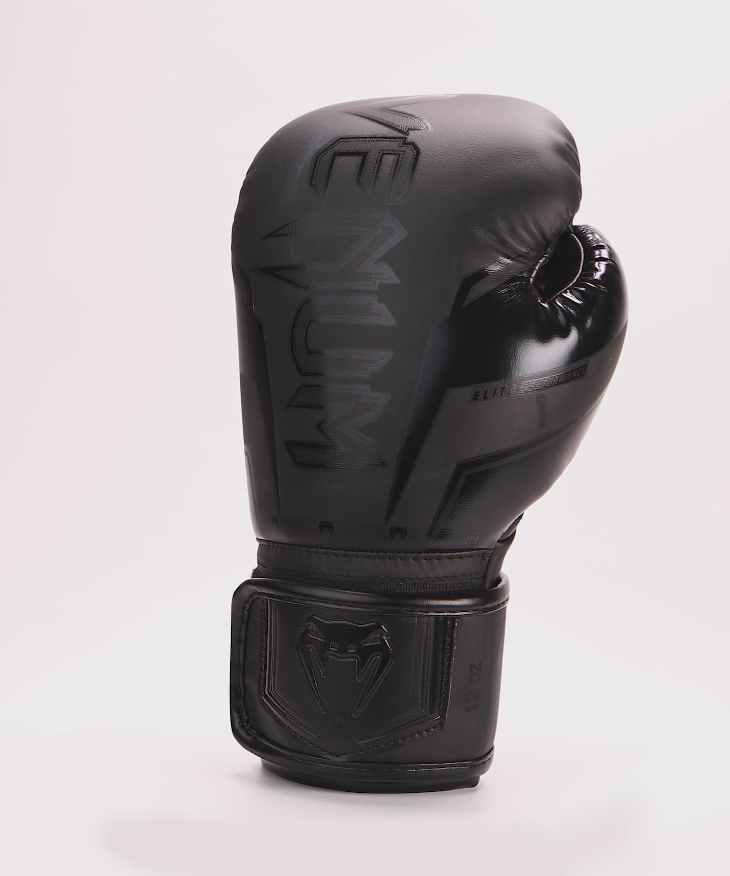 Gants de Boxe Venum Elite Evo - Noir/Noir - Gants de boxe