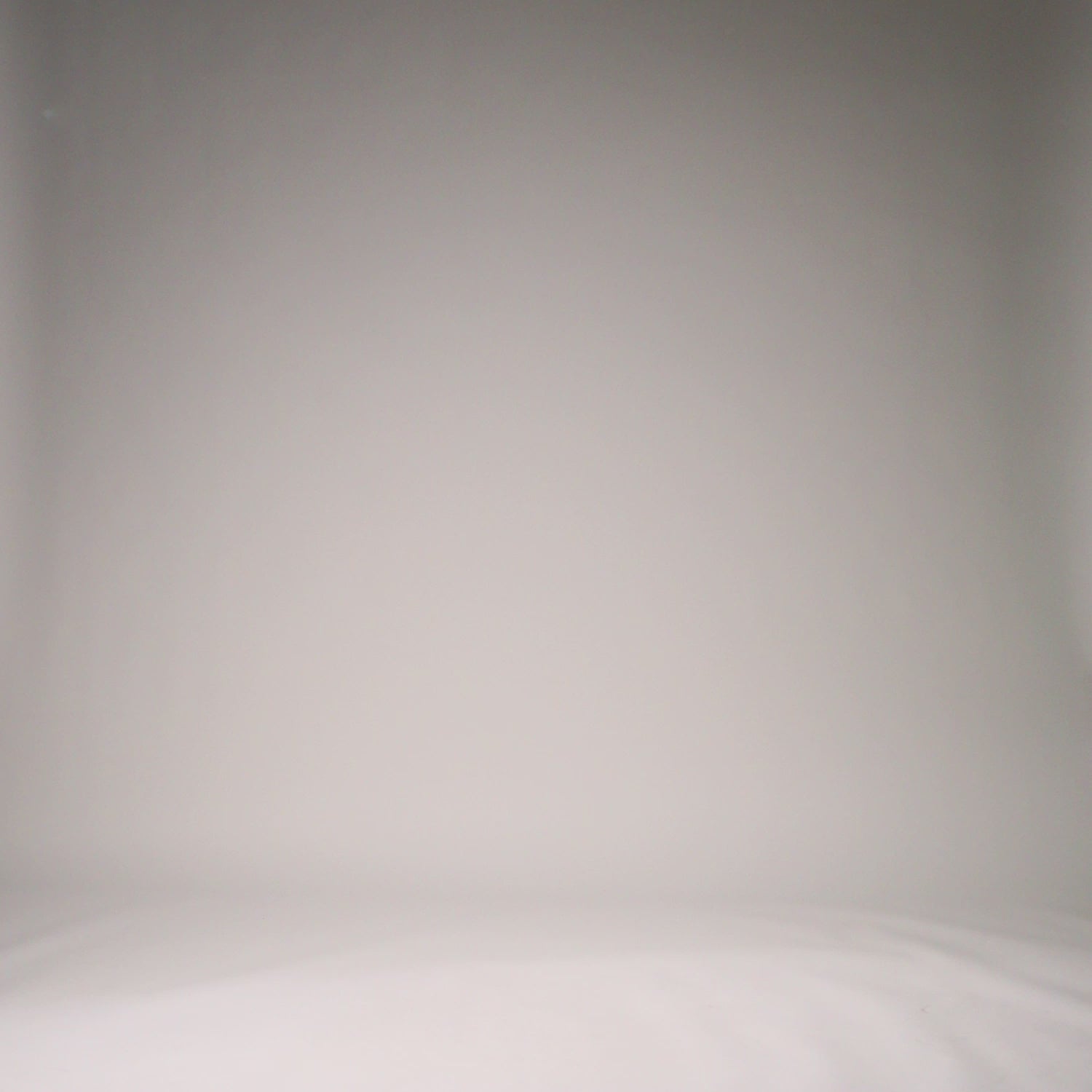 Veste pour Hommes Venum x Bud Racing - Noir/Blanc/Citron Vert - product-type_Vestes