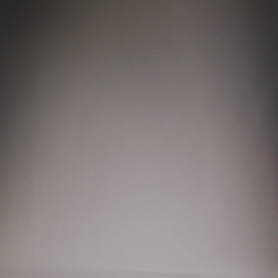 Short d'Entraînement Venum Quetzal Fury - Noir/Rouge Fury/Mandarine - product-type_Shorts de training