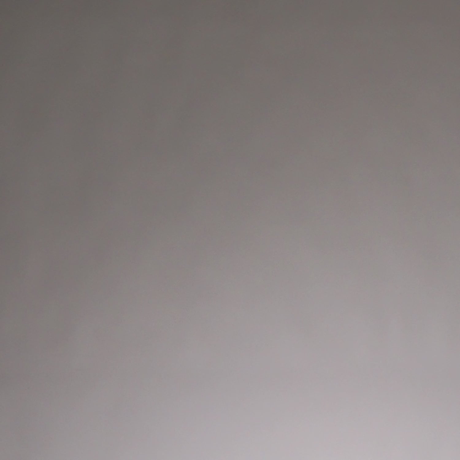 T-Shirt Dry-Tech Venum Tiger pour Femmes - Noir/Argent - product-type_T-Shirts Dry Tech