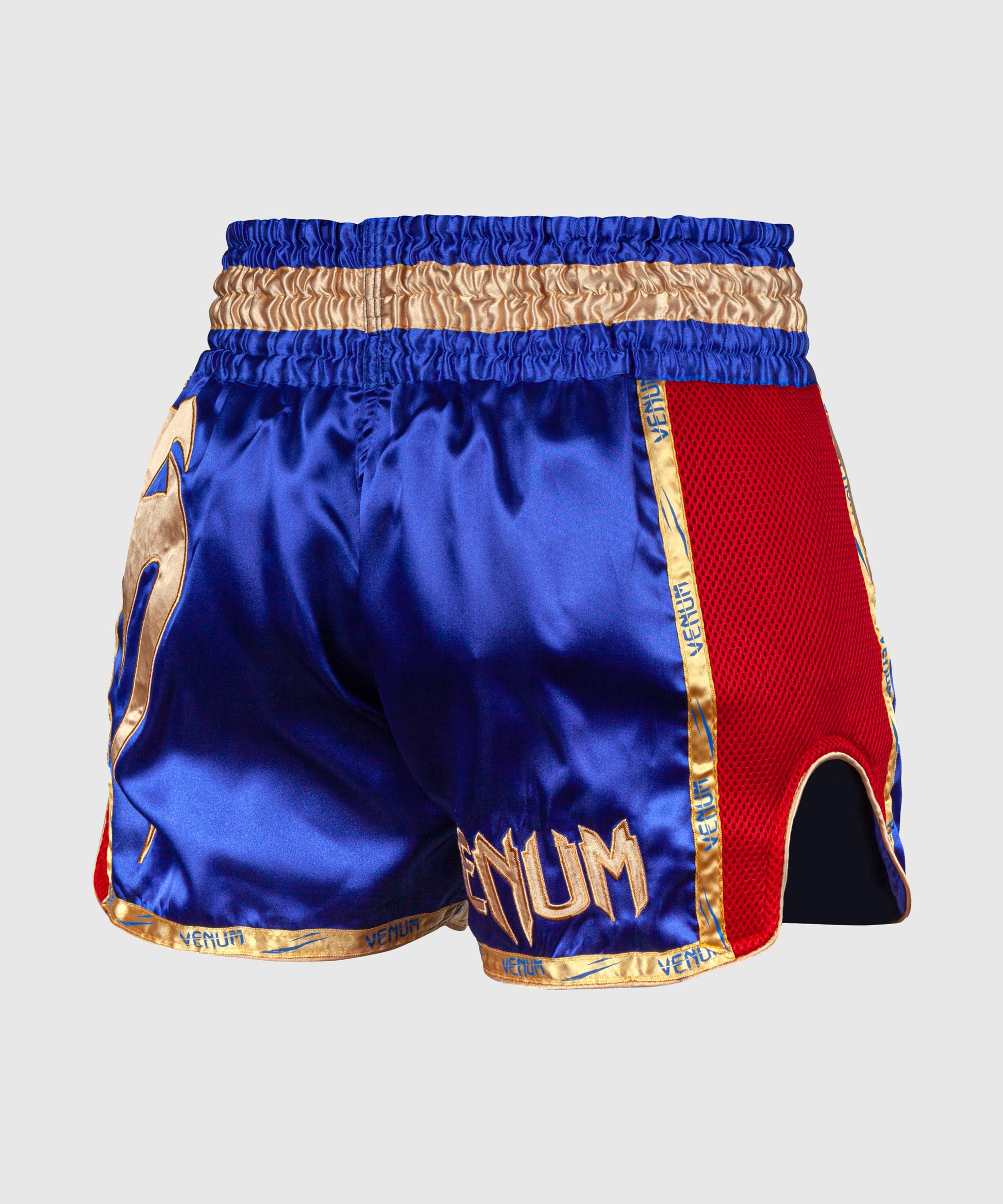 Short de Muay Thai Venum Giant - Shorts de boxe thaï