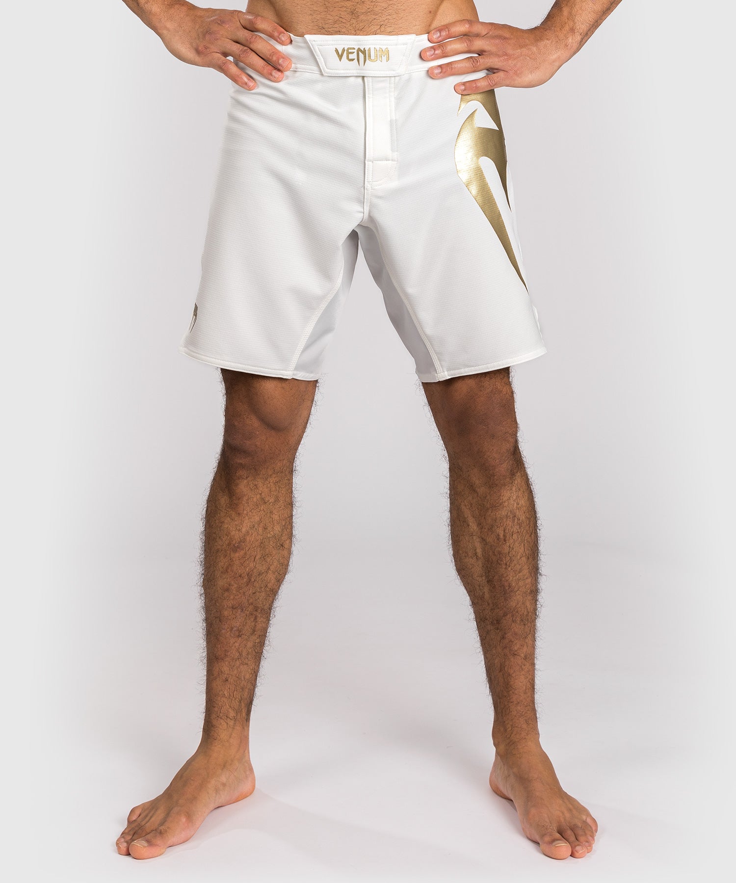 Shorts de combat Venum Light 5.0 - Blanc/Or - product-type_Shorts de MMA