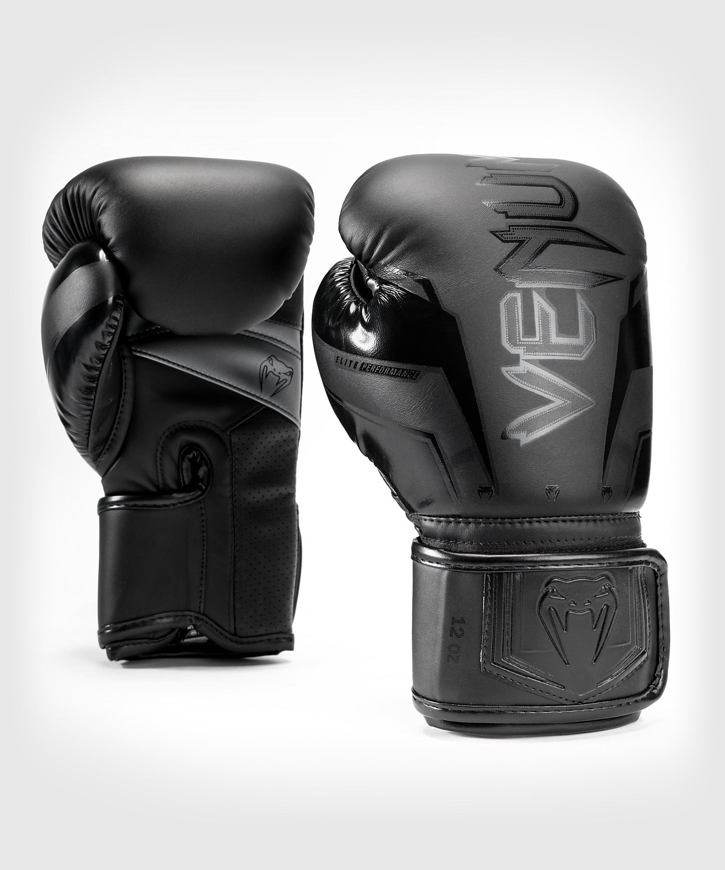 Gants de Boxe Venum Elite Evo - Noir/Noir - product-type_Gants de boxe