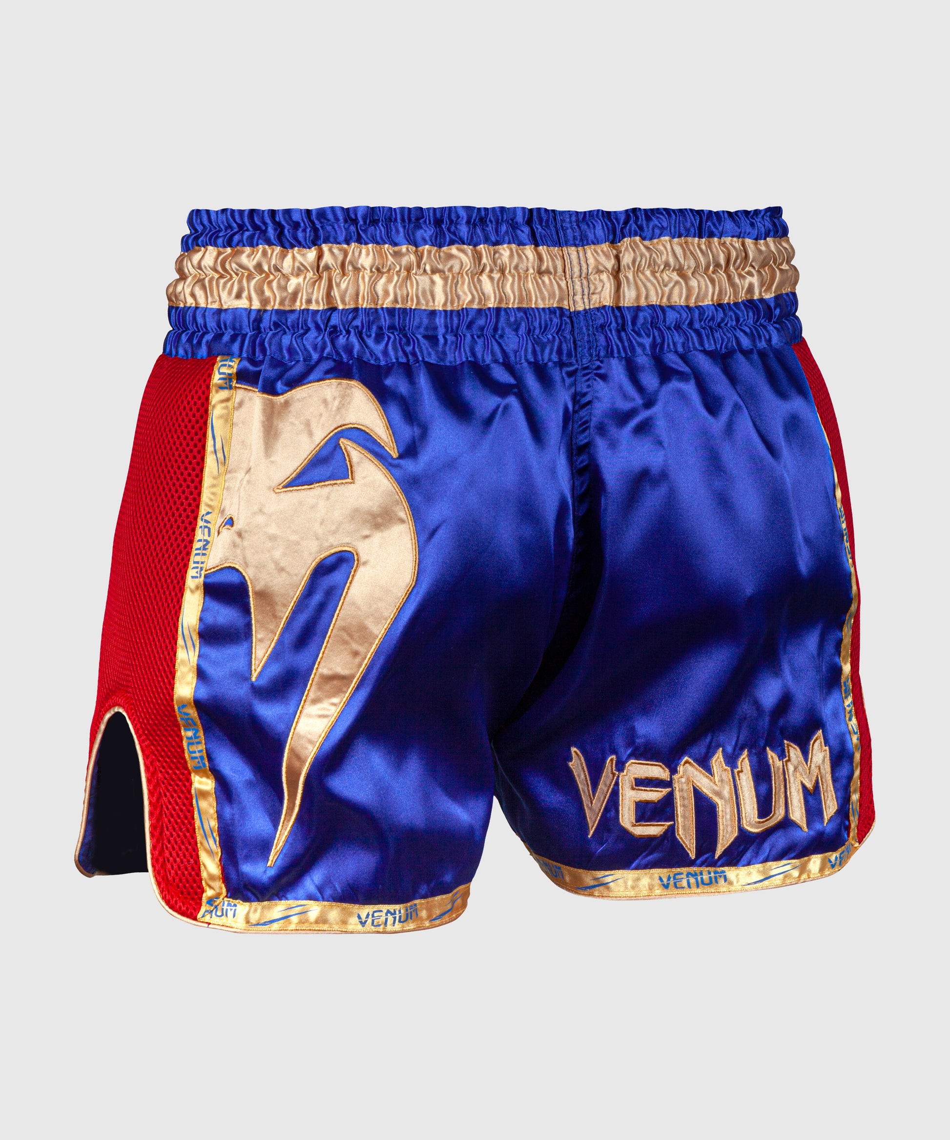 Short de Muay Thai Venum Giant - Shorts de boxe thaï