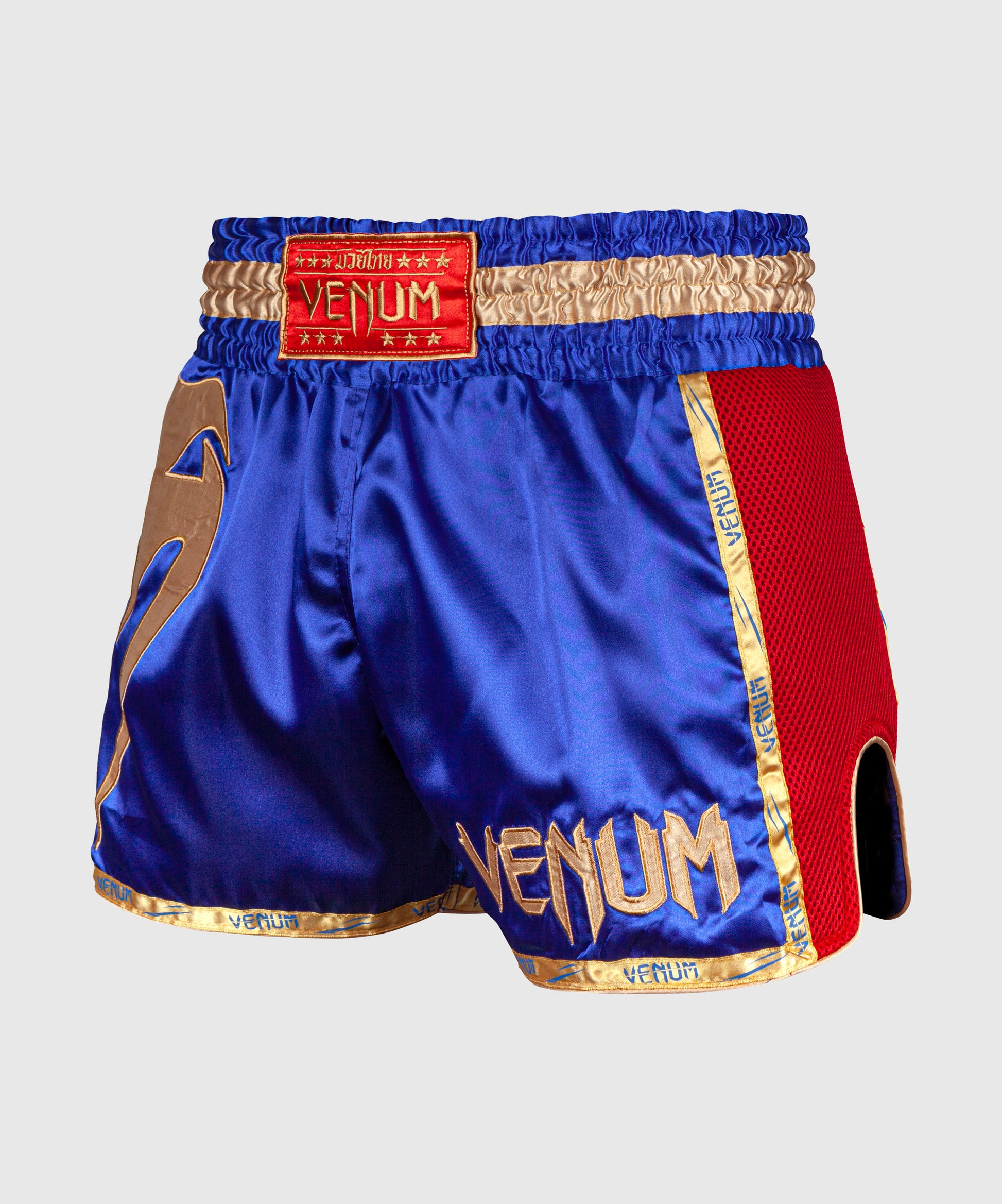 Short de Muay Thai Venum Giant - Shorts de boxe thaï